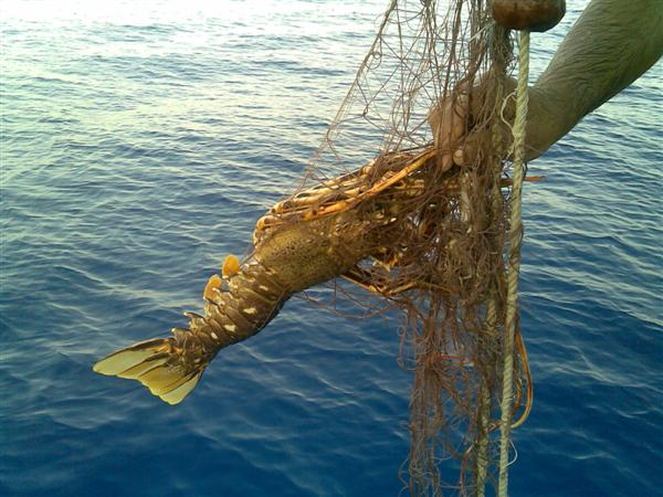 Pescaturismo nel sud Sardegna da Porto Columbu e Perd&#039;e Sali